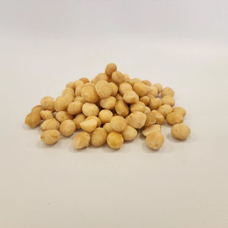 מקדמיה